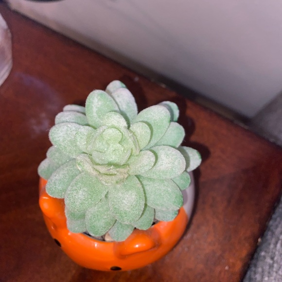 Faux/Fake Fox Succulent Home Decor - Picture 3 of 7